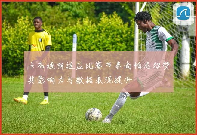 卡布逐渐适应比赛节奏尚帕尼称赞其影响力与数据表现提升