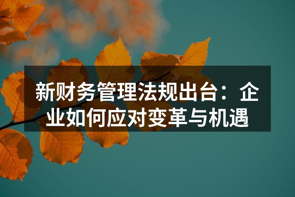 新财务管理法规出台：企业如何应对变革与机