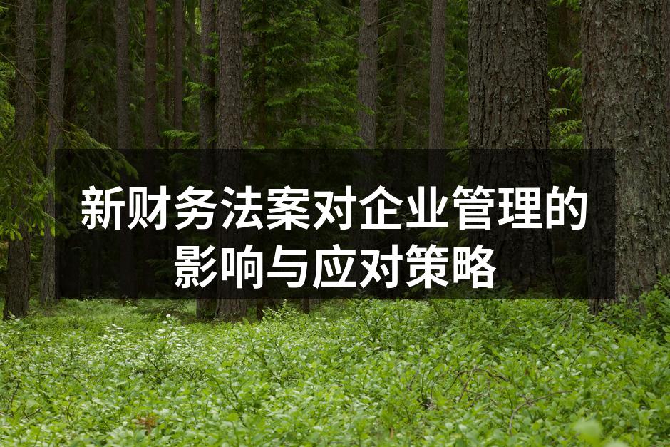新财务法案对企业管理的影响与应对策略